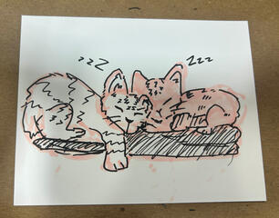 Pet Commission