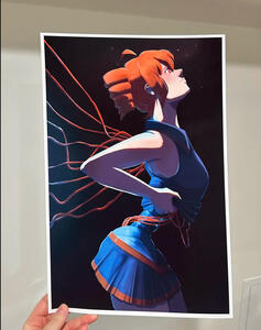 11 x 17 print